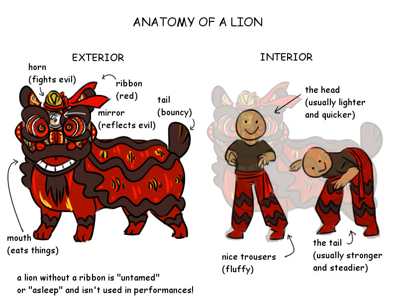 Anatomy of a lion features of a lion dance according to Chinese tradition