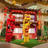Sheng Wai Lion Dance Lion Dance Ground Performance